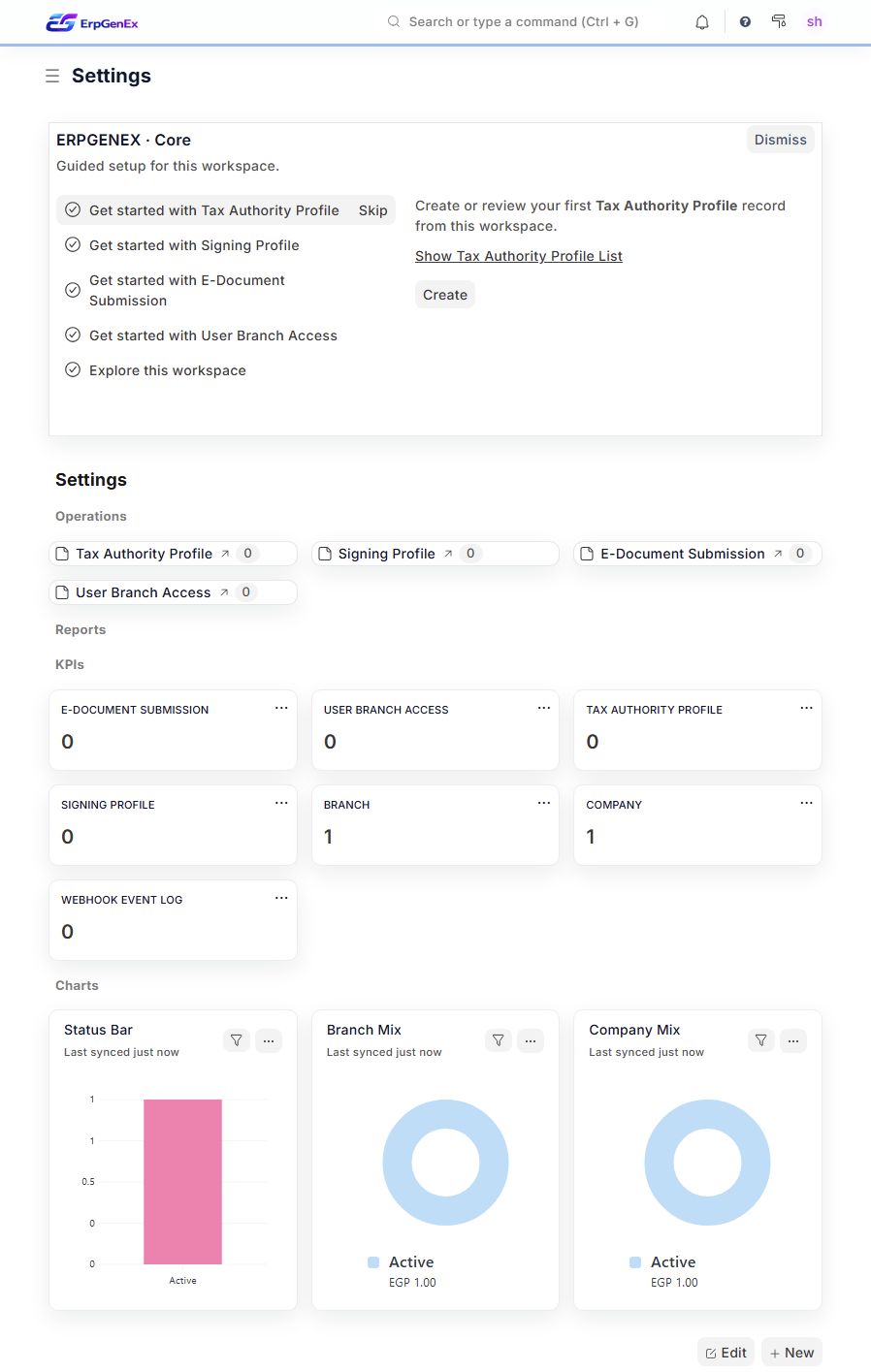 ErpGenEx Setup Intelligence