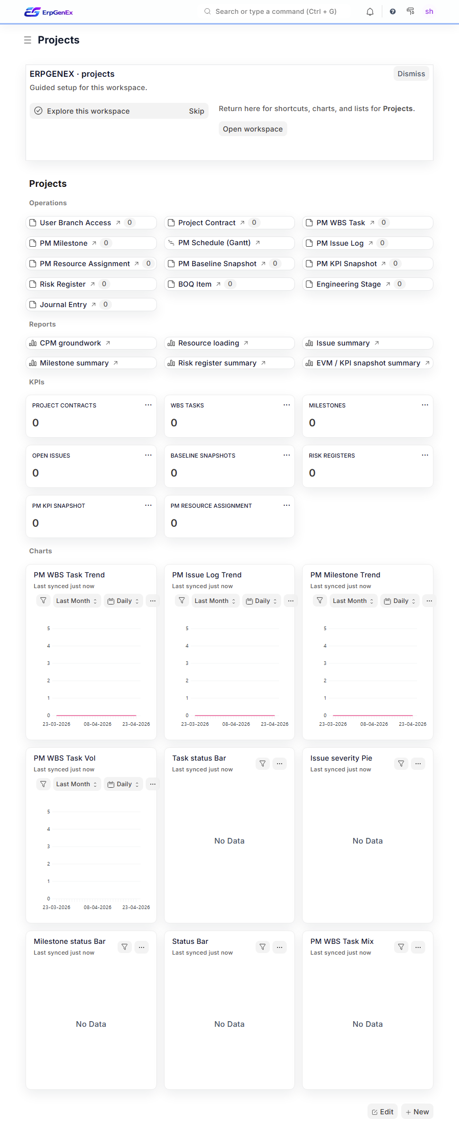 ErpGenEx — Projects PM