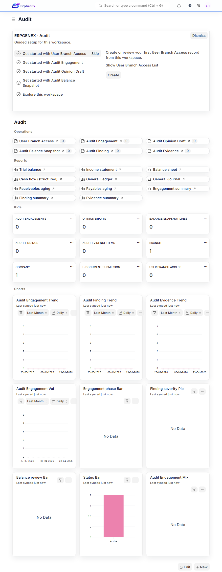 ErpGenEx — Statutory Audit